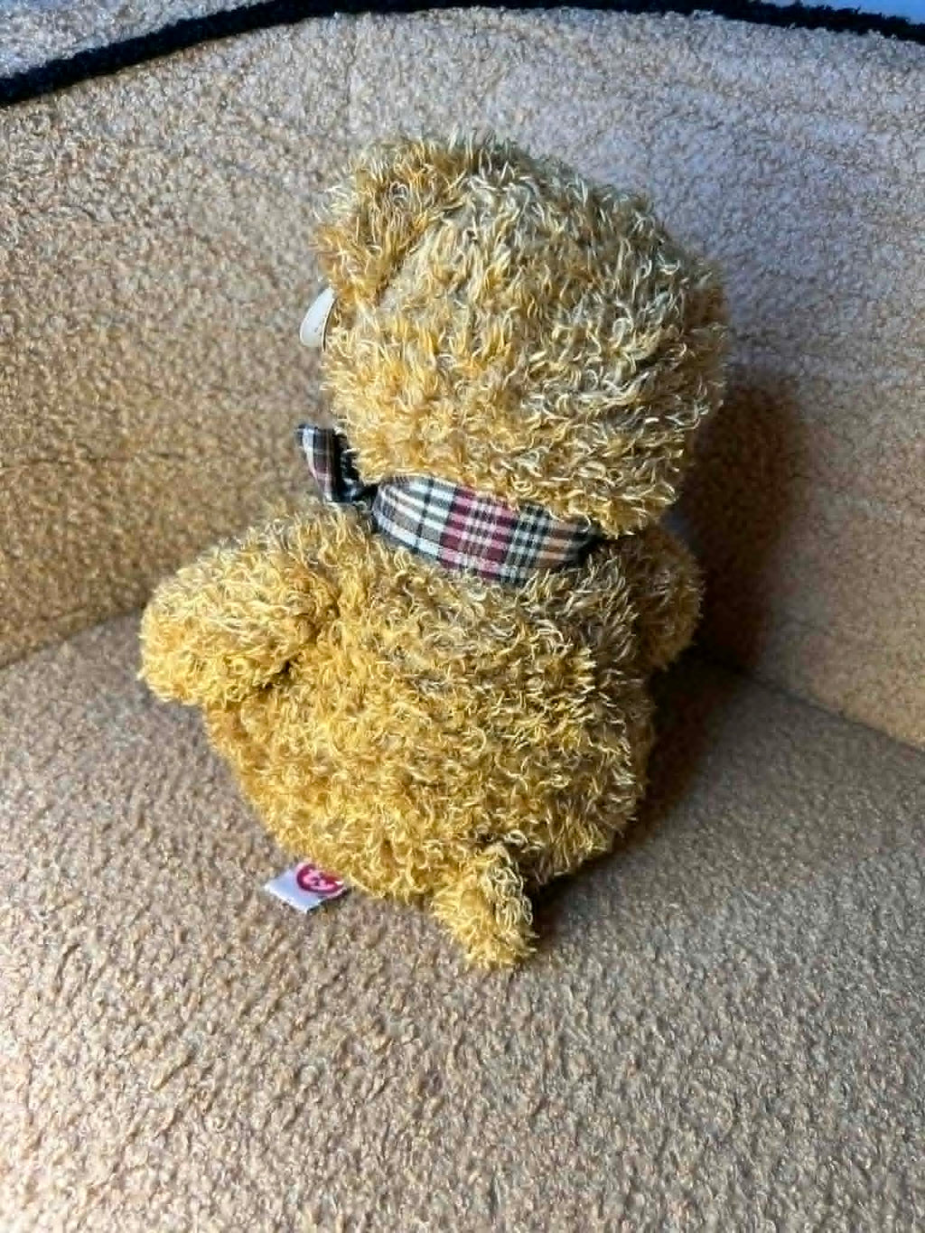 TY Classic – "Wentworth" the Fancey Bear