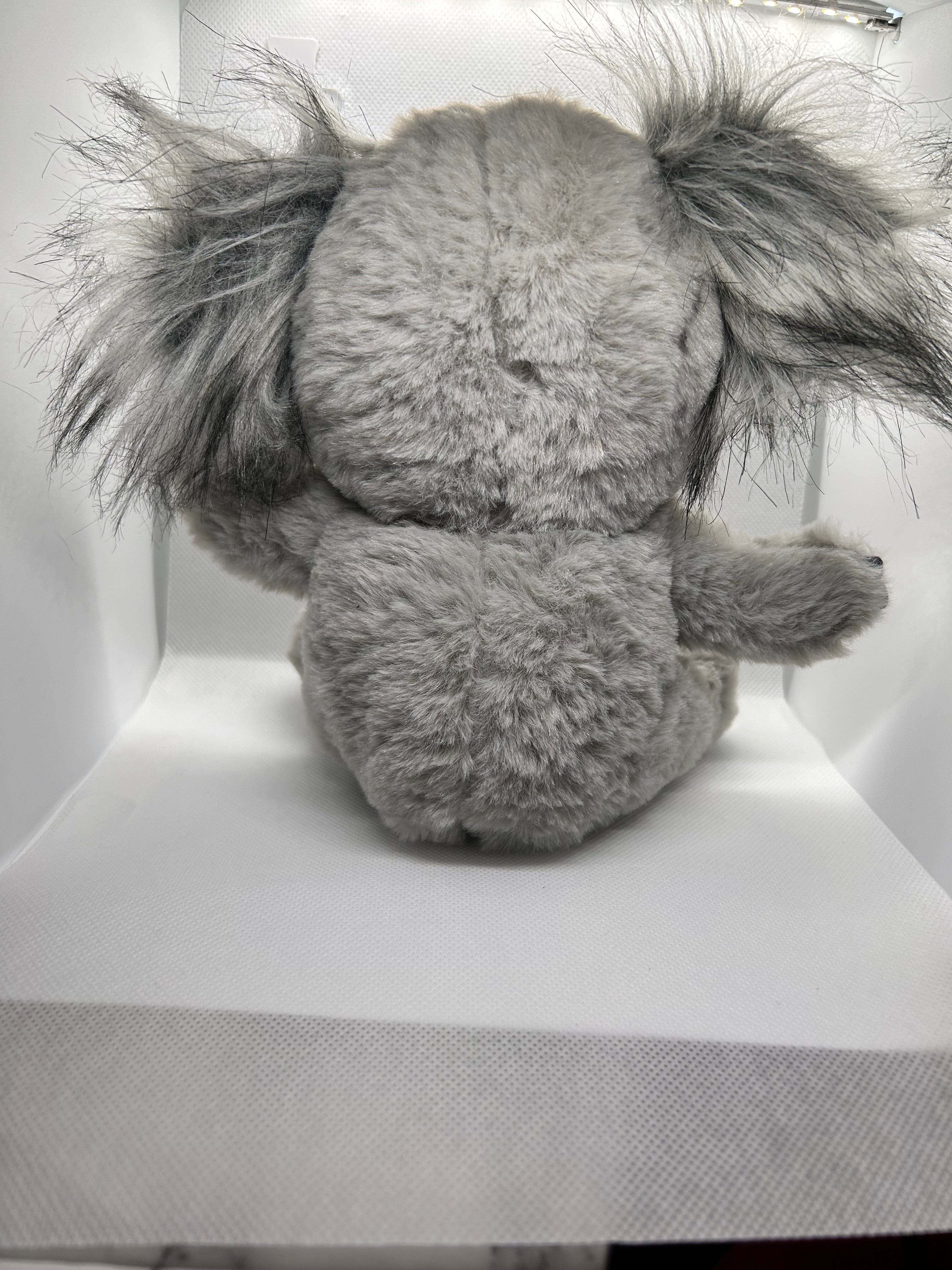 Koala Bear Plush
