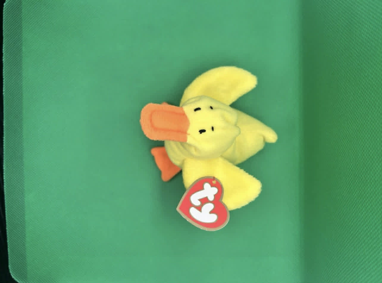 TY Teenie Beanie Baby – "Quacks" the Duck